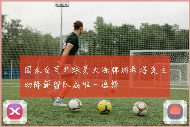 国米合同年球员大洗牌姆希塔良主动降薪留队成唯一选择